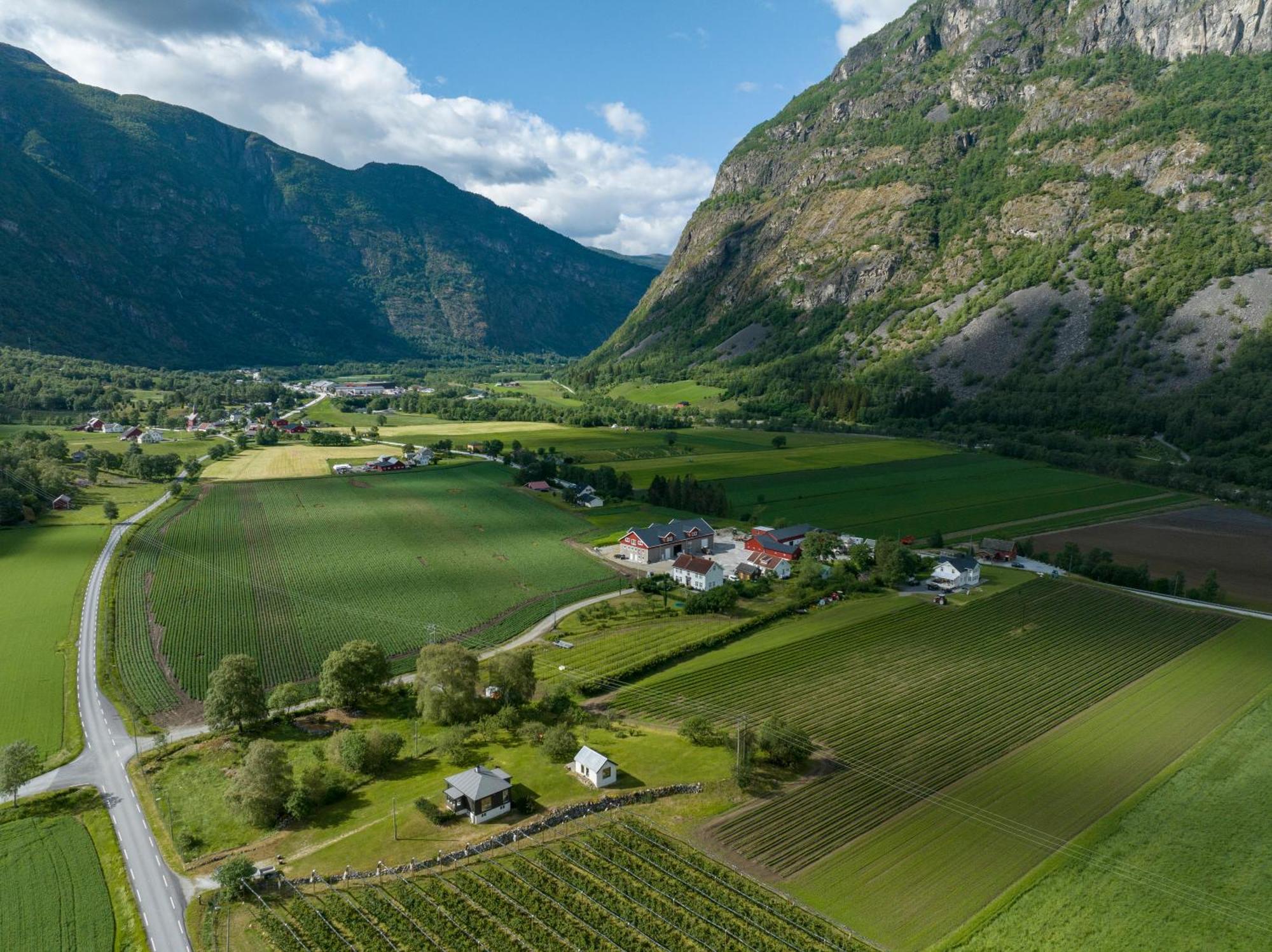 Jordeplegarden Holiday Home - Part Of A Farm - Two Buildings - Close To Flam Lærdalsøyri Exterior foto